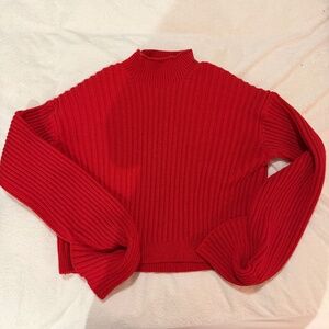 EVERLANE The Cotton Ribbed Rollneck Sweater Small 100% Organic NWOT Washable